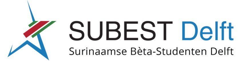 SUBEST Delft Image