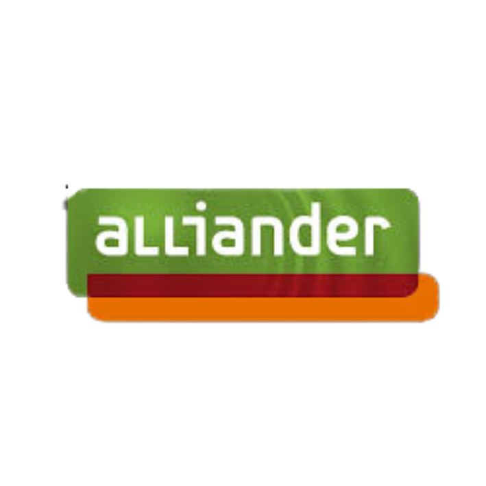 Teamleider Alliander image